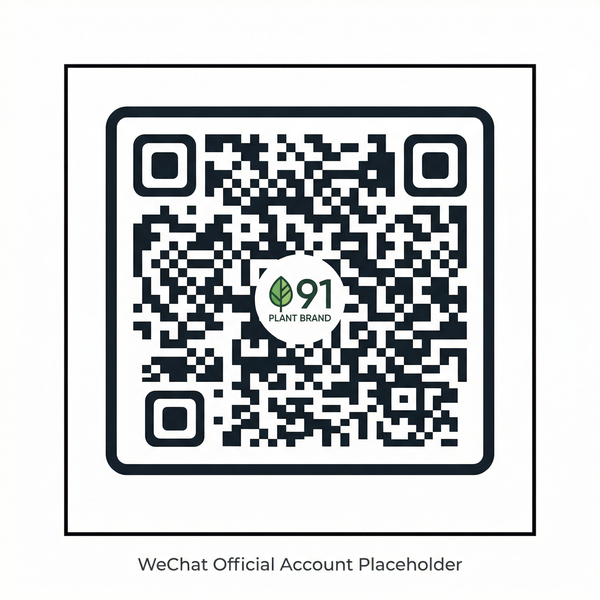 91视频公众号二维码